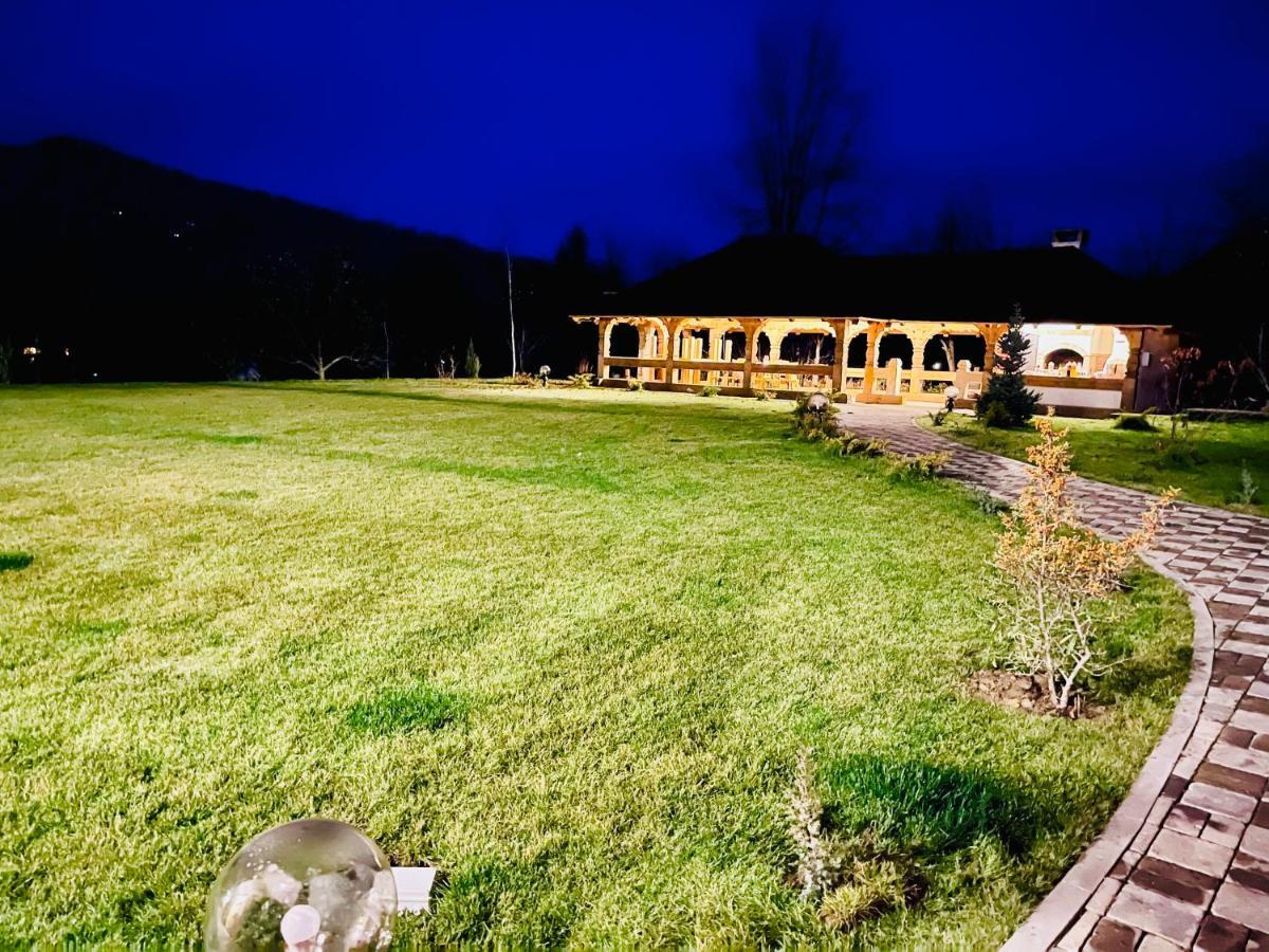 Pensiunea Coronita Felsővisó Kültér fotó