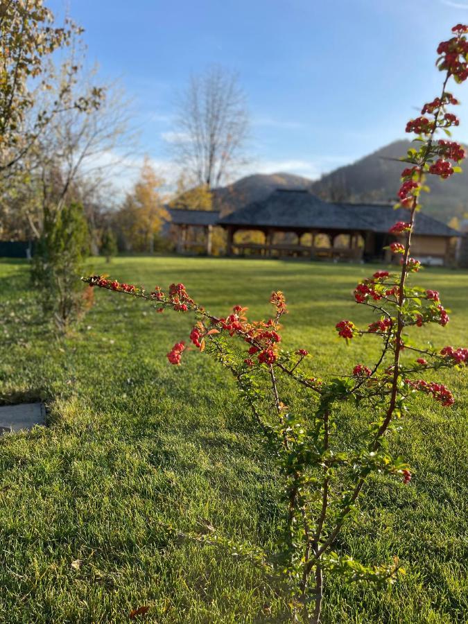 Pensiunea Coronita Felsővisó Kültér fotó